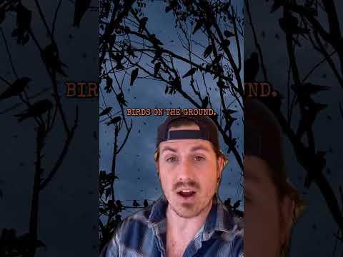 They Found A DEMON In The Forest!