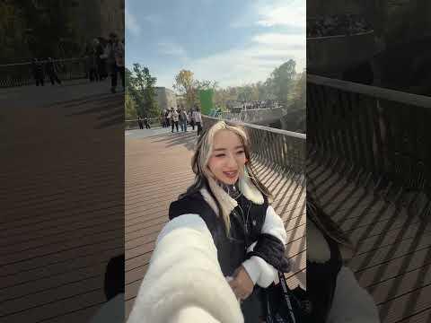 Chengdu pandas is a must.