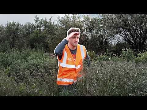 Transforming my overgrown garden after 20 years of neglect