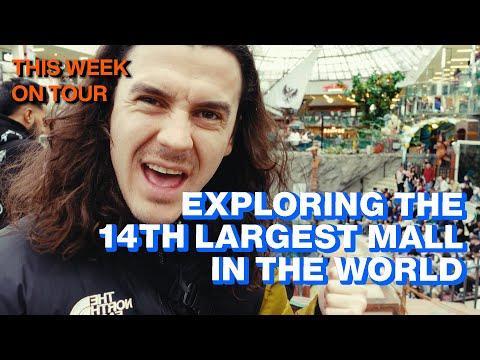 This Week on Tour: Bus of Knives (Ep. 5) | Peach Pit