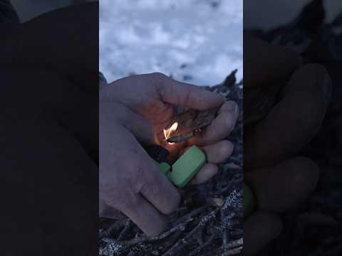 Birkenrinde - Der Zunder des Nordens