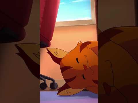 oopsie 😼 #aprilfoolsday #aprilfools #jk