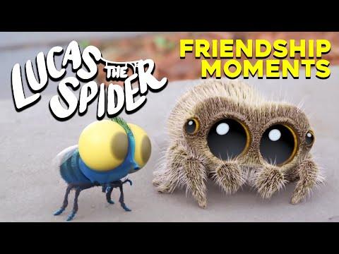 The BEST Lucas and Findley Friendship Moments! |  Lucas The Spider