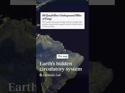 This map shows a hidden underground circulatory system | Marvin Liyanage @marvinliyanage
