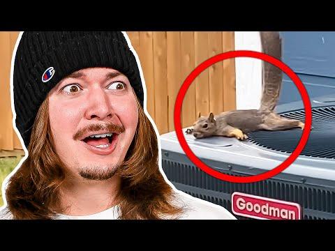 These Daily Dose Memes drove me NUTS