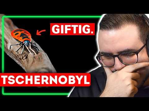 Simplicissimus über die Folgen von Tschernobyl...
