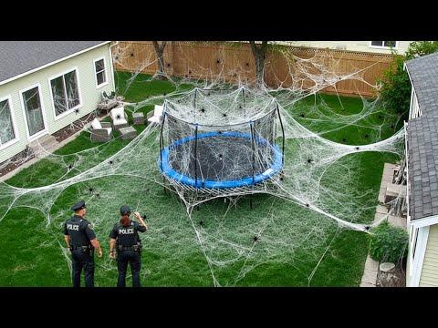 Das ist wirklich in den Gärten der Leute passiert