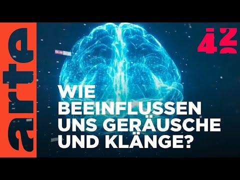 Hören wir alle das Gleiche? | 42 - Die Antwort auf fast alles Reupload | ARTE