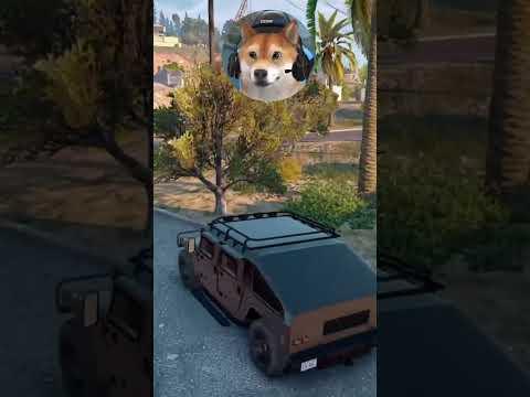 "Alles unter Kontrolle" #gtarp #gta5 #csyon