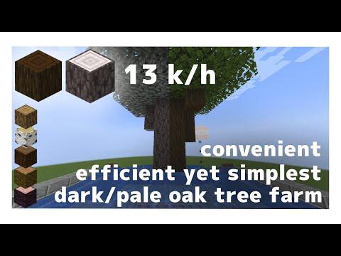 Camy is back! and with a neat little tree farm too. Whether you do or don't know who she is I would really recommend giving the video a watch, the first half at the very least.