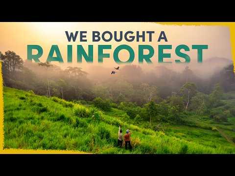 I am now working on the next episode covering of our rainforest project and I caught myself going back frequently to this first video we made about it a year ago. I think it is one of the most beautiful and exciting videos we have produced and looking back it is wonderful to see it all together. The project and the hard work our team has put in really shines through. So if you are keen on a refresher before the next video in this series comes out be sure to go back and check it out, I think it is definitely