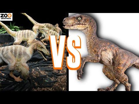 We've got a brand new video on our new sister channel on Velociraptor. You're not gonna want to miss this one, the script is an absolute banger! Check it out and subscribe/ring the bell on the new channel! Cheers, everyone!