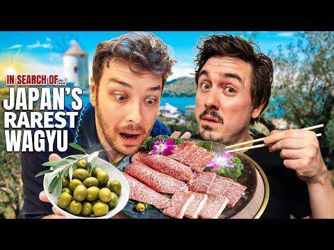 I Tried Japan's Rarest Beef (A5 Wagyu) | Feat. @CDawgVA