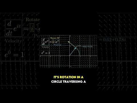 The dynamics of e^(πi)