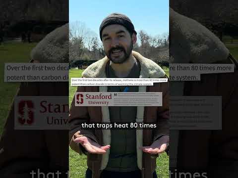 Expiration Dates Are Fake